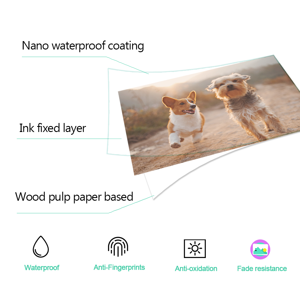1/2/3/4/5 Stück 6 Zoll Tintenp – Commercial Photo Printer Bewertung und Preis